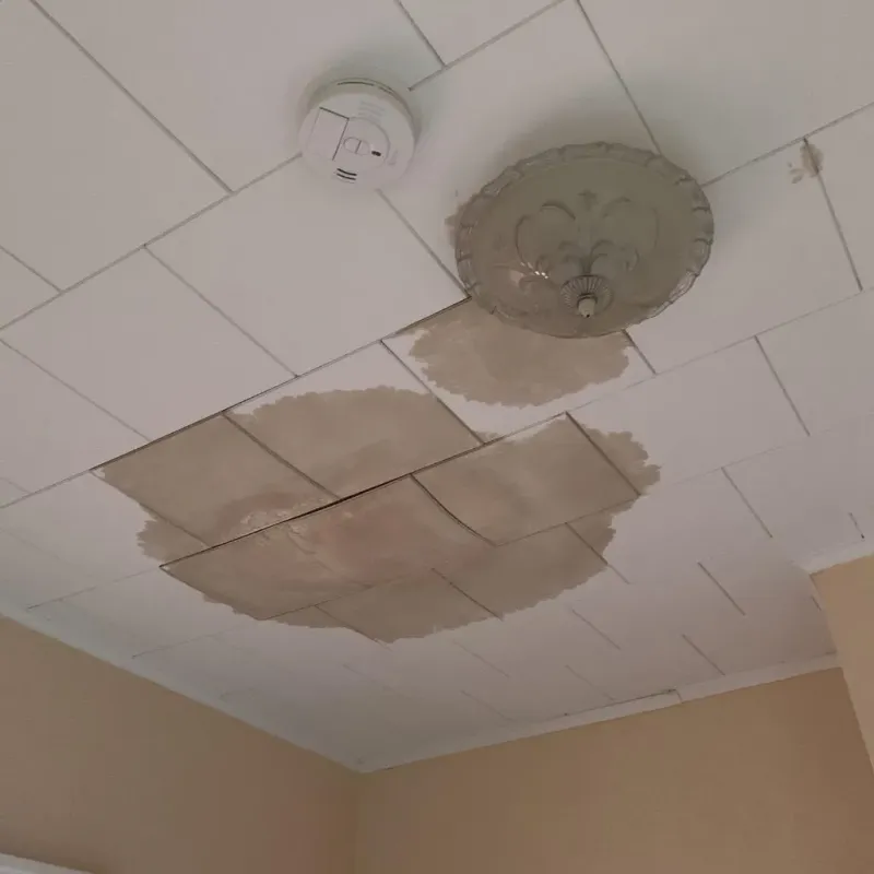 Ceiling Water Damage Repair in San Ramon, CA