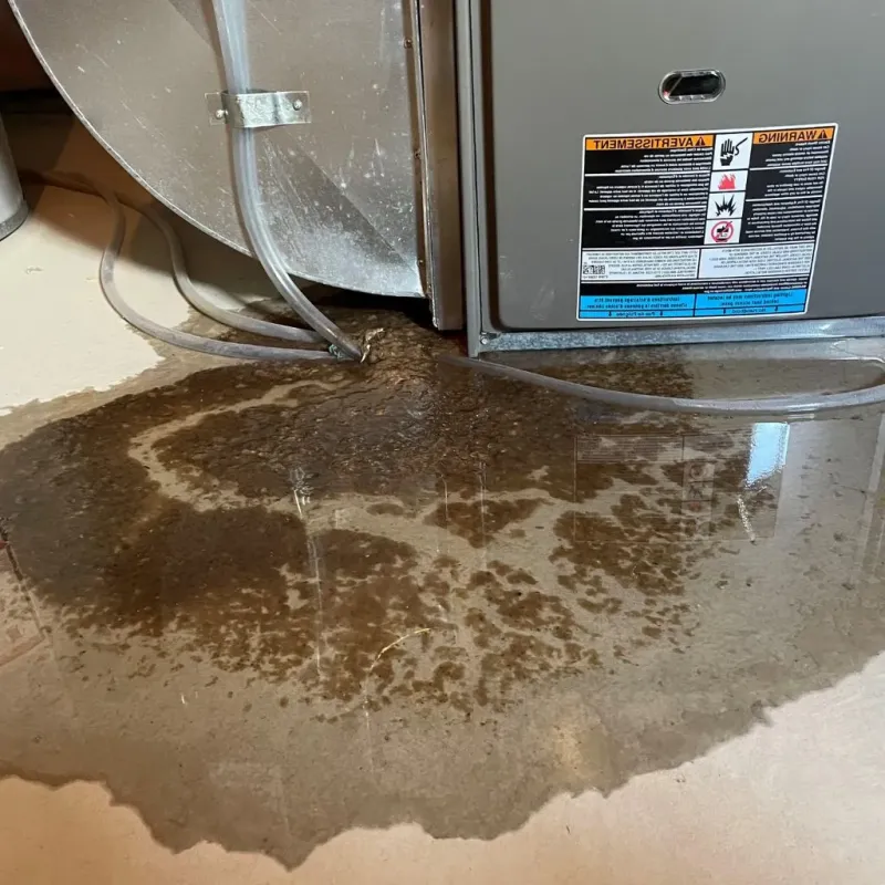 Pipe Burst and Leak Restoration in San Ramon, CA
